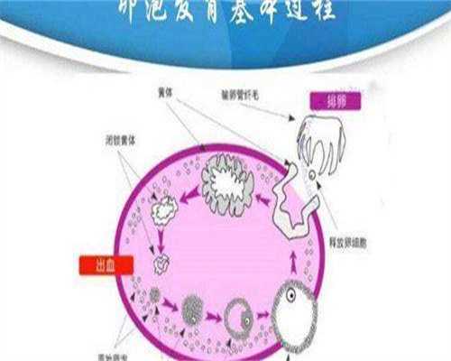 天津试管助孕费用及医保政策解析：代生包成功指南