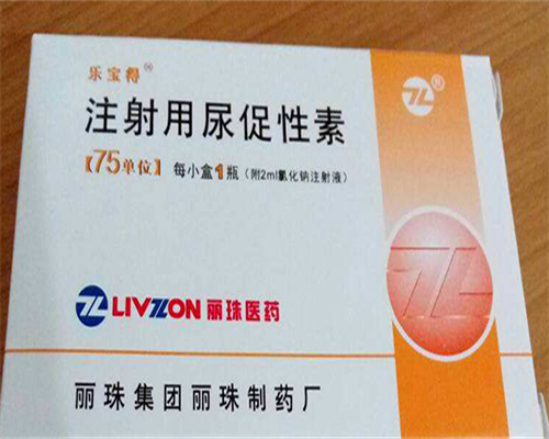 试管孕妇前三个月饮食指南与营养建议