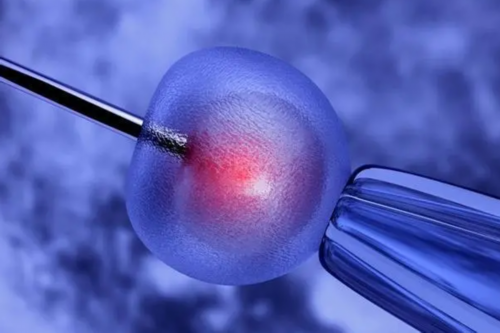 试管婴儿生宝宝费用明细解析：最新价格与影响因素