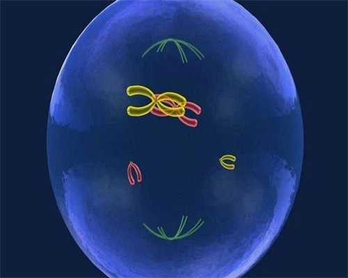 乌克兰三代试管婴儿助孕费用解析与省钱技巧