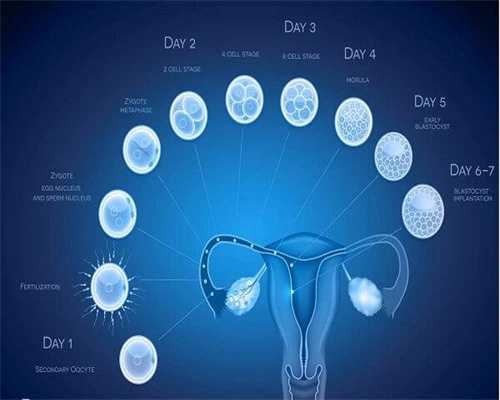 试管婴儿费用明细及助孕支出解析