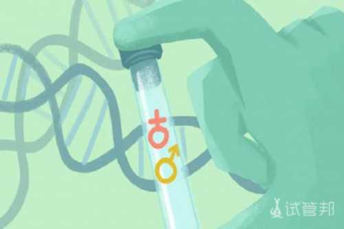 非不孕不育人群也能选择试管婴儿助孕吗？