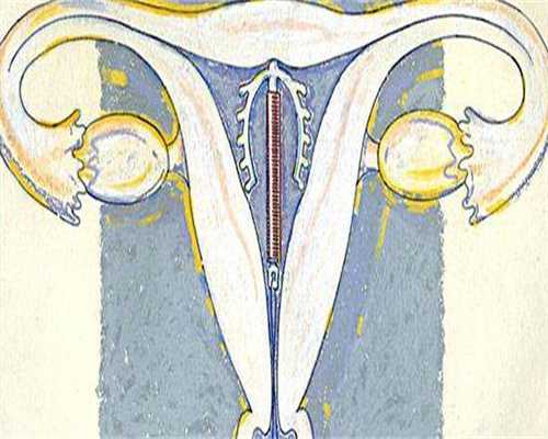 北京试管助孕费用解析与预算指南