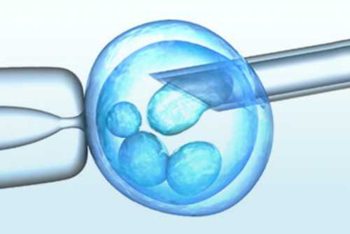 茂名试管婴儿助孕指南与本地医院推荐
