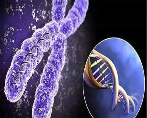 广州第三代试管成功率哪家好？附最新费用与选择指南