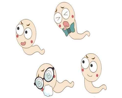 试管婴儿探查术费用解析与指南