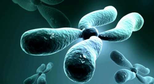 <strong>保定妇幼试管移植手术费用明细及总花费解析</strong>