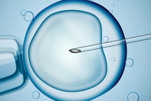 贵阳试管体检费用解析与优化策略