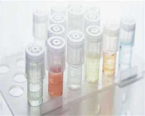 拉萨试管助孕费用详解与预算指南