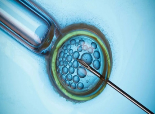 肺结节患者能否进行试管婴儿治疗-肺部结节对辅助生殖的影响分析